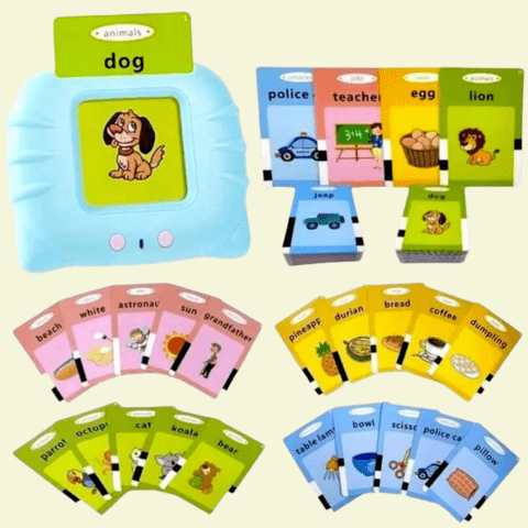 Czytnik Kart Do Nauki Angielskiego